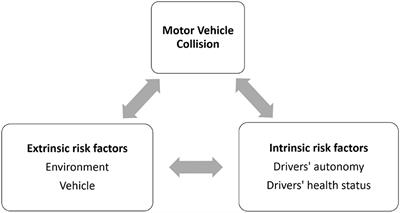 Aging, Obesity, and Motor Vehicle Collisions